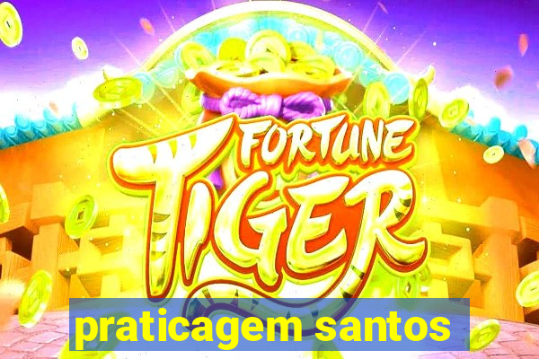 praticagem santos